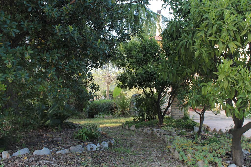 B&B Azzurra Pescara Dış mekan fotoğraf