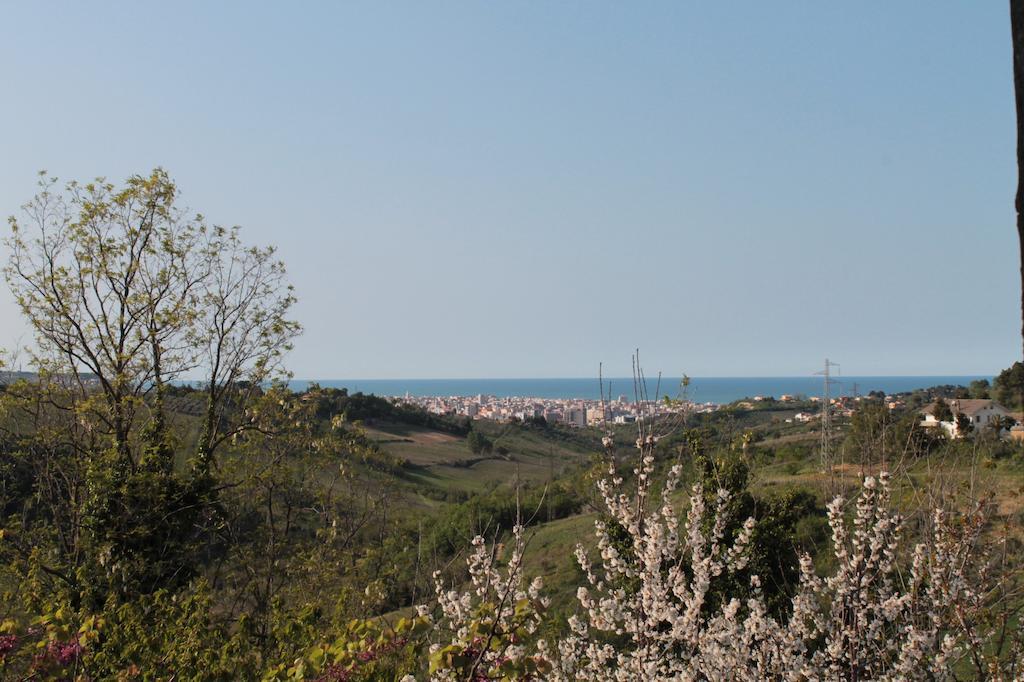 B&B Azzurra Pescara Dış mekan fotoğraf
