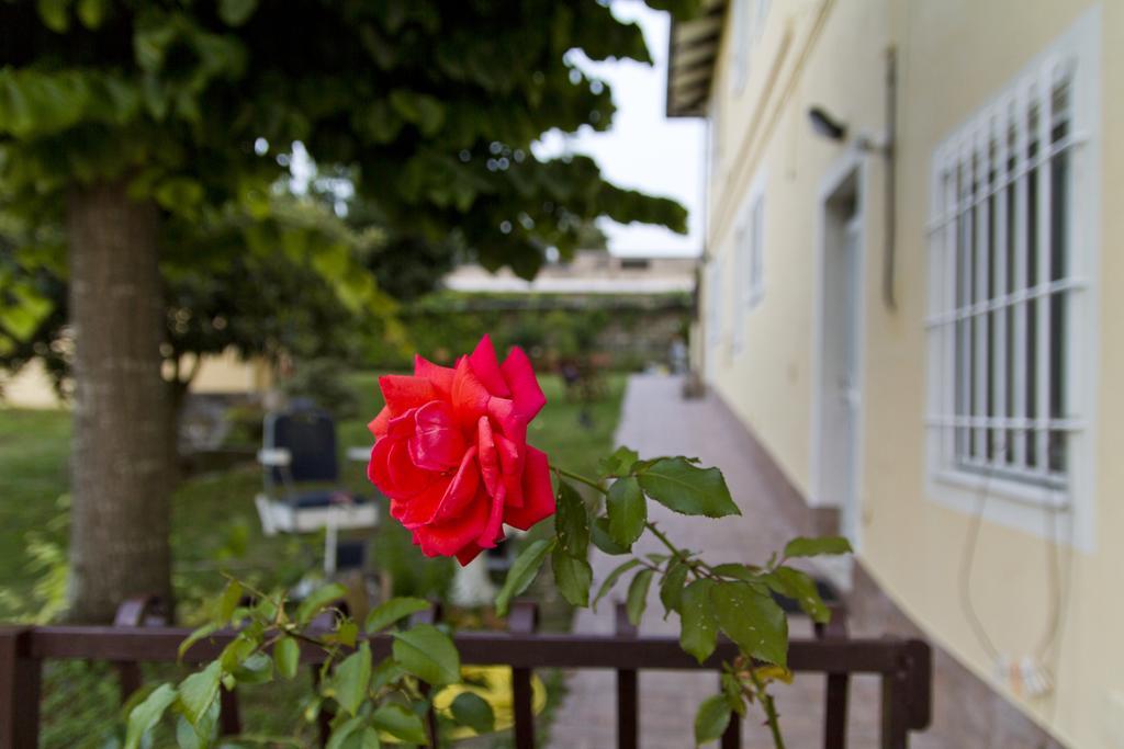 B&B Azzurra Pescara Dış mekan fotoğraf